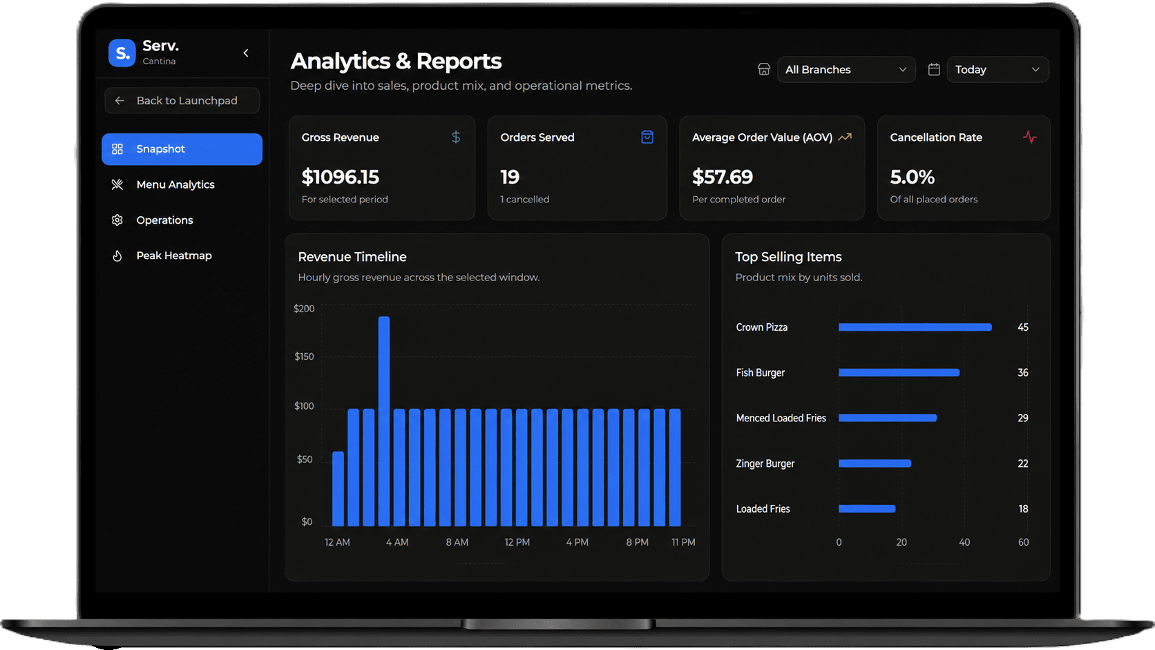 Serv Analytics Interface